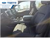 2026 Ford F-150 XLT (Stk: TKD56109) in Wallaceburg - Image 11 of 25
