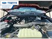 2026 Ford F-150 XLT (Stk: TKD56109) in Wallaceburg - Image 25 of 25