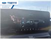 2024 Ford Mustang Dark Horse (Stk: R5507110T) in Wallaceburg - Image 19 of 25 2024 Ford Mustang Dark Horse (Stk: R5507110T) in Wallaceburg - Image 19 of 25