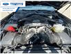 2024 Ford Mustang Dark Horse (Stk: R5507110T) in Wallaceburg - Image 25 of 25 2024 Ford Mustang Dark Horse (Stk: R5507110T) in Wallaceburg - Image 25 of 25