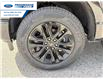 2026 Ford F-150 XLT (Stk: TKD94845) in Wallaceburg - Image 10 of 25