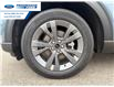 2026 Ford Explorer Active (Stk: TGB68107) in Wallaceburg - Image 10 of 26