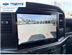 2026 Ford F-150 STX (Stk: TFA90302) in Wallaceburg - Image 17 of 24