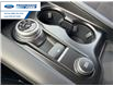 2026 Ford Explorer Tremor (Stk: TGB60852) in Wallaceburg - Image 20 of 26