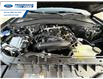 2026 Ford Explorer Tremor (Stk: TGB60852) in Wallaceburg - Image 26 of 26
