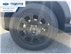 2026 Ford Bronco Sport Badlands (Stk: TRE51714) in Wallaceburg - Image 10 of 25