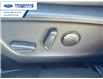 2026 Ford Bronco Sport Badlands (Stk: TRE51714) in Wallaceburg - Image 12 of 25