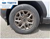 2026 Ford Bronco Sport Big Bend (Stk: TRE51374) in Wallaceburg - Image 10 of 24