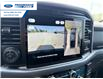 2026 Ford F-150 XLT (Stk: TKE26220) in Wallaceburg - Image 13 of 21