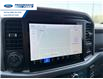 2026 Ford F-150 XLT (Stk: TKE26220) in Wallaceburg - Image 14 of 21