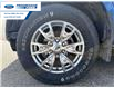 2019 Ford Ranger XLT (Stk: KLA57512T) in Wallaceburg - Image 10 of 25