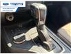 2019 Ford Ranger XLT (Stk: KLA57512T) in Wallaceburg - Image 20 of 25