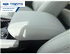 2025 Ford Explorer Platinum (Stk: SGA03371L) in Wallaceburg - Image 21 of 27 2025 Ford Explorer Platinum (Stk: SGA03371L) in Wallaceburg - Image 21 of 27