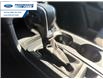 2026 Ford Ranger XLT (Stk: TLE24088) in Wallaceburg - Image 20 of 25