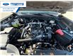 2026 Ford Ranger XLT (Stk: TLE24088) in Wallaceburg - Image 25 of 25