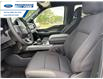 2026 Ford F-150 XLT (Stk: TKE14073) in Wallaceburg - Image 11 of 25