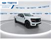 2026 Ford F-150 XLT (Stk: TKE23920) in Wallaceburg - Image 2 of 25