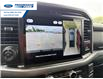 2026 Ford F-150 XLT (Stk: TKE23920) in Wallaceburg - Image 17 of 25