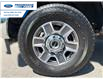 2025 Ford F-350 Lariat (Stk: SED52700A) in Wallaceburg - Image 10 of 25