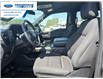 2024 Ford F-150 XLT (Stk: RFC21304L) in Wallaceburg - Image 11 of 25