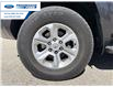 2023 Toyota 4Runner Base (Stk: P6198191T) in Wallaceburg - Image 10 of 24