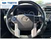 2023 Toyota 4Runner Base (Stk: P6198191T) in Wallaceburg - Image 14 of 24
