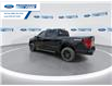 2026 Ford F-150 XLT (Stk: TKE09469) in Wallaceburg - Image 6 of 25