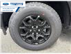 2026 Ford F-150 XLT (Stk: TKE09469) in Wallaceburg - Image 10 of 25