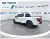 2023 Ford F-150 XLT (Stk: PKF24660T) in Wallaceburg - Image 6 of 25