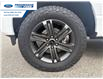 2023 Ford F-150 XLT (Stk: PKF24660T) in Wallaceburg - Image 10 of 25