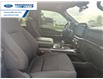2023 Ford F-150 XLT (Stk: PKF24660T) in Wallaceburg - Image 24 of 25