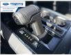 2026 Ford F-150 XLT (Stk: TKE21224) in Wallaceburg - Image 20 of 25