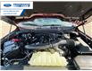 2026 Ford F-150 XLT (Stk: TKE21224) in Wallaceburg - Image 25 of 25