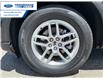 2026 Ford Explorer Active (Stk: TGB84926) in Wallaceburg - Image 10 of 26
