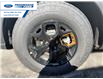 2026 Ford Explorer Tremor (Stk: TGC07444) in Wallaceburg - Image 10 of 26