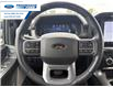 2024 Ford F-150 Lariat (Stk: RFB14925) in Wallaceburg - Image 14 of 25