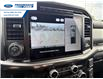 2024 Ford F-150 Lariat (Stk: RFB14925) in Wallaceburg - Image 17 of 25