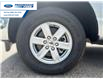 2026 Ford F-150 XL (Stk: TKE26946) in Wallaceburg - Image 10 of 23