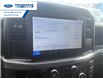 2026 Ford F-150 XL (Stk: TKE26946) in Wallaceburg - Image 16 of 23