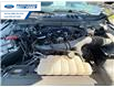 2024 Ford F-150 STX (Stk: RKD37038) in Wallaceburg - Image 24 of 24