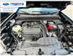 2026 Ford Maverick Lariat (Stk: TRA49145) in Wallaceburg - Image 26 of 26 2026 Ford Maverick Lariat (Stk: TRA49145) in Wallaceburg - Image 26 of 26
