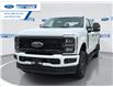 2026 Ford F-250 XL (Stk: TEE75024) in Wallaceburg - Image 1 of 24