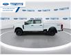 2026 Ford F-250 XL (Stk: TEE75024) in Wallaceburg - Image 5 of 24