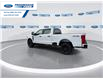 2026 Ford F-250 XL (Stk: TEE75024) in Wallaceburg - Image 6 of 24