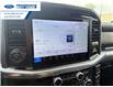 2025 Ford F-150 Lariat (Stk: SKF31208T) in Wallaceburg - Image 16 of 25