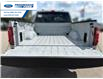 2026 Ford F-150 XLT (Stk: TKE45770) in Wallaceburg - Image 23 of 25