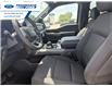 2026 Ford F-150 XLT (Stk: TKE46199) in Wallaceburg - Image 11 of 25