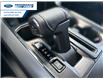 2026 Ford F-150 XLT (Stk: TKE46199) in Wallaceburg - Image 20 of 25