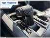 2026 Ford F-150 XLT (Stk: TFB55414) in Wallaceburg - Image 20 of 25