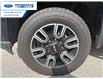 2023 GMC Sierra 2500HD AT4 (Stk: PF148253P) in Wallaceburg - Image 10 of 25 2023 GMC Sierra 2500HD AT4 (Stk: PF148253P) in Wallaceburg - Image 10 of 25